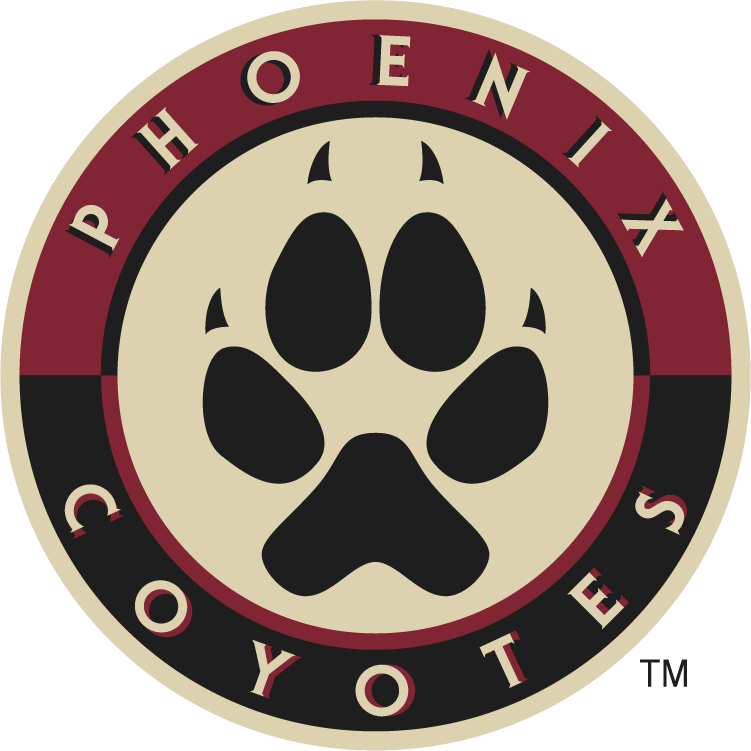 Phoenix Coyotes 2008-2014 Alternate Logo fabric transfer
